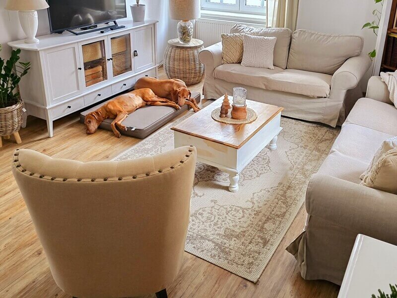 Kusový koberec Beach 103854 Cream/Beige - na von aj na doma